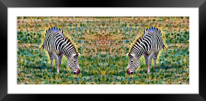 Zebras (Digital Art Version) Framed Mounted Print by Kevin Maughan