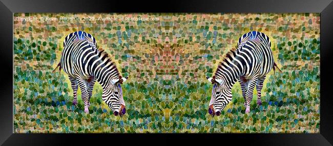 Zebras (Digital Art Version) Framed Print by Kevin Maughan