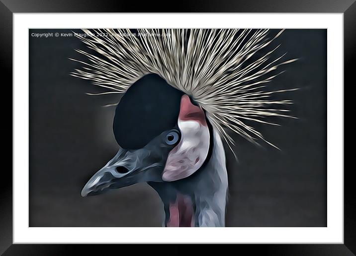 Black Crowned Crane (Digital Art Version) Framed Mounted Print by Kevin Maughan
