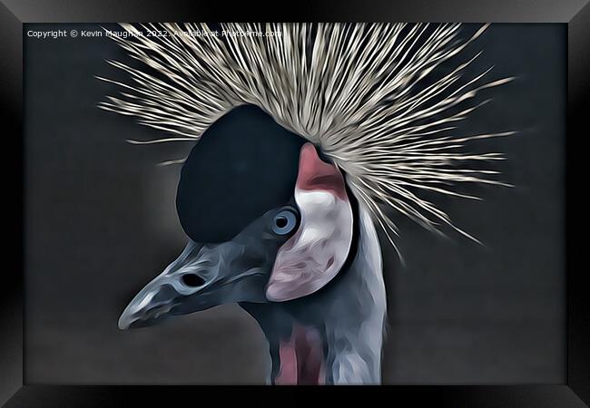 Black Crowned Crane (Digital Art Version) Framed Print by Kevin Maughan