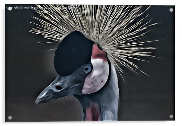 Black Crowned Crane (Digital Art Version) Acrylic by Kevin Maughan