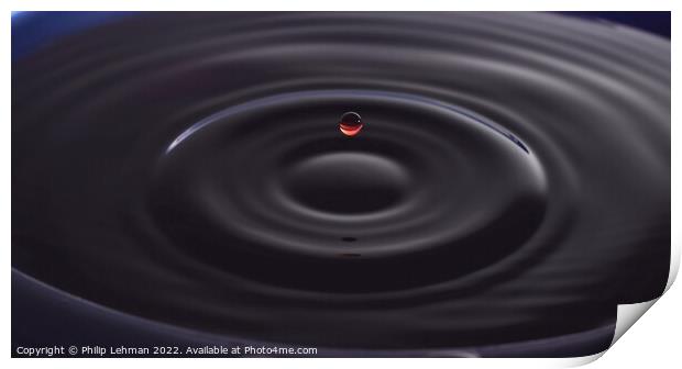 Red Water Drops (29B) Print by Philip Lehman