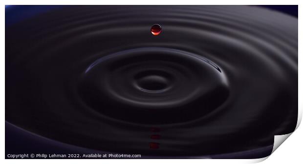 Red Water Drops (32A) Print by Philip Lehman