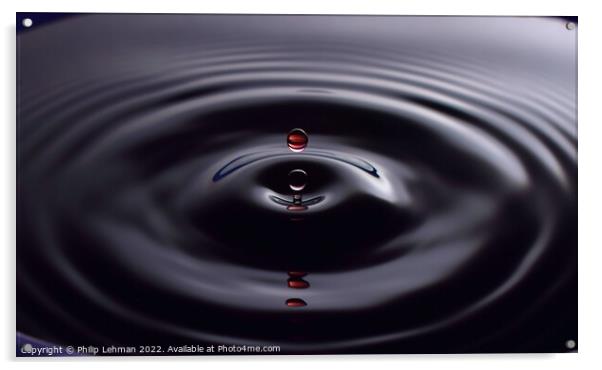 Red Water Drops (33A) Acrylic by Philip Lehman