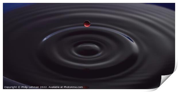 Red Water Drops (28A) Print by Philip Lehman