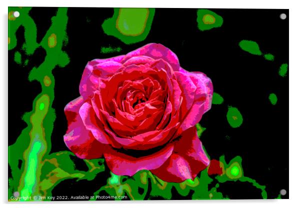 Red Rose  Acrylic by Jim Key