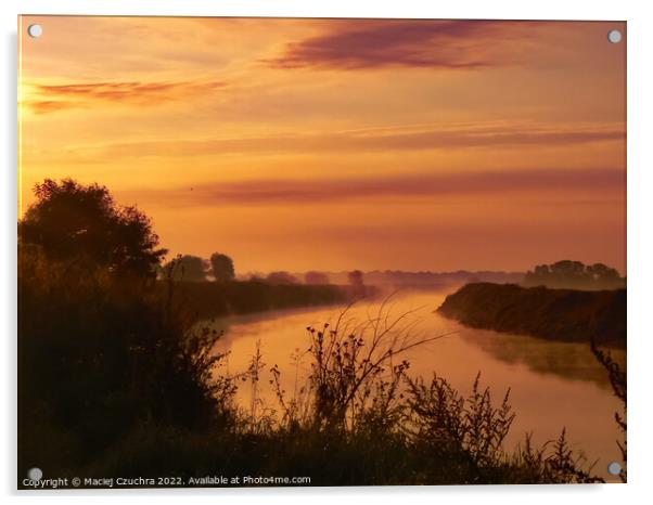 The Wisła River at Dawn Acrylic by Maciej Czuchra