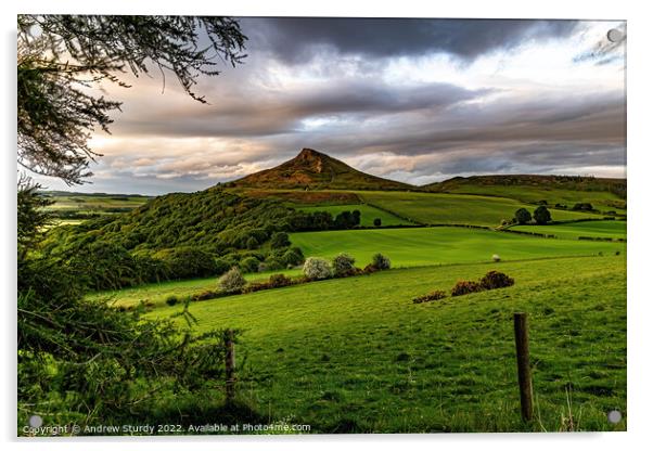 Roseberry Topping Acrylic by Andrew  Sturdy