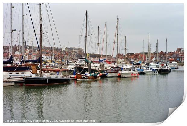 Boats and yachts moored Print by Rodney Hutchinson