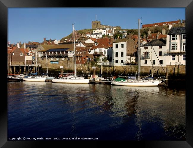 Yachts Moored Framed Print by Rodney Hutchinson