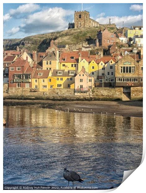 Old Whitby buildings  Print by Rodney Hutchinson