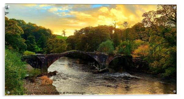 Cromwell's Bridge, Ribble Valley Acrylic by Michele Davis