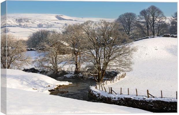 Gayle Beck, Hawes, Wensleydale, Yorkshire Dales National Park Canvas Print by Louise Heusinkveld