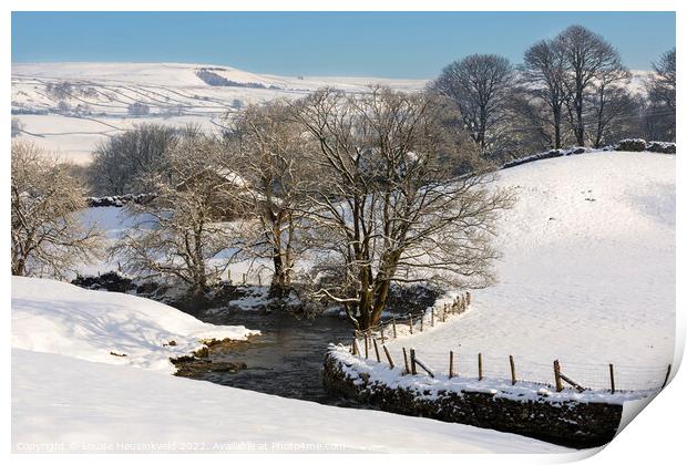 Gayle Beck, Hawes, Wensleydale, Yorkshire Dales National Park Print by Louise Heusinkveld