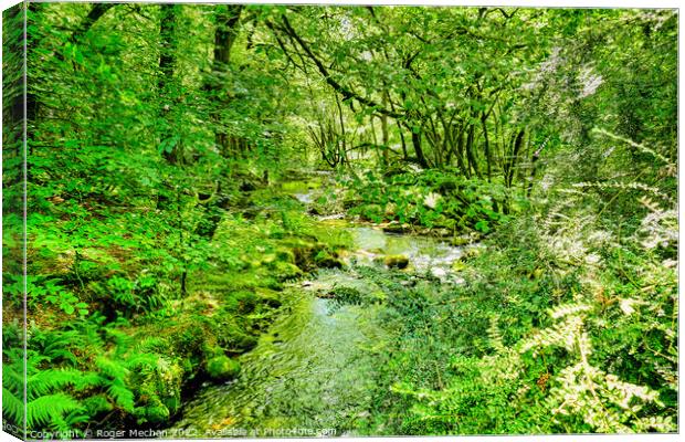 Enchanted Woodland Oasis Canvas Print by Roger Mechan