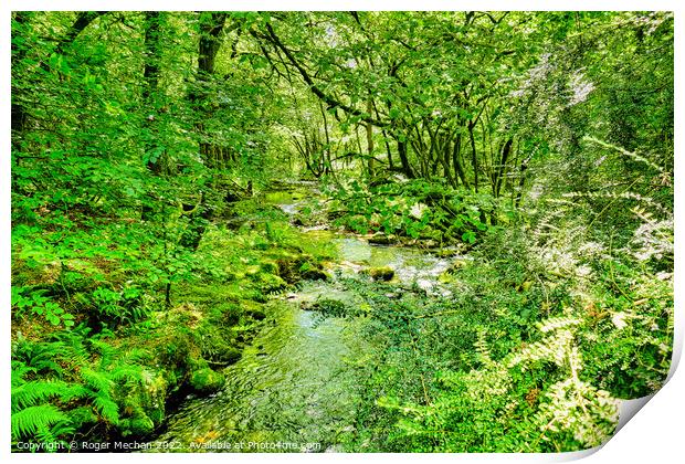 Enchanted Woodland Oasis Print by Roger Mechan
