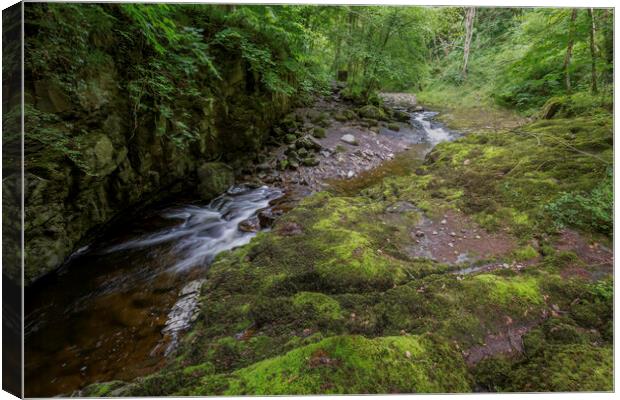 The Afon Pyrddin valley Canvas Print by Leighton Collins