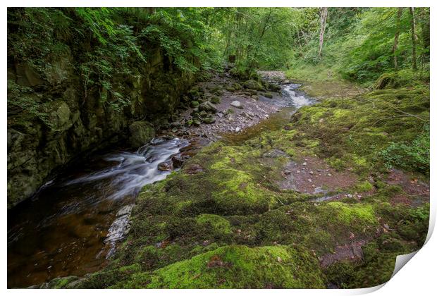 The Afon Pyrddin valley Print by Leighton Collins