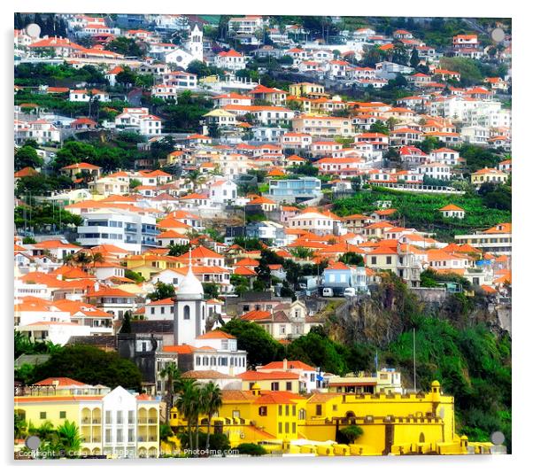 Funchal Madeira Portugal Acrylic by Craig Yates