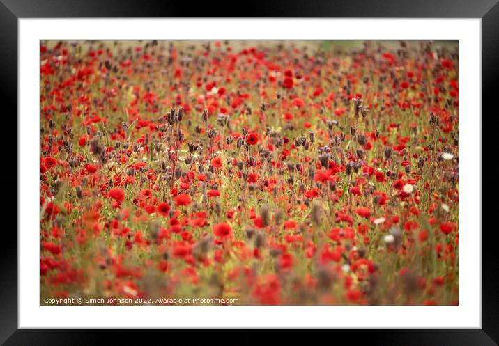 Cotswold Poppy field Framed Mounted Print by Simon Johnson