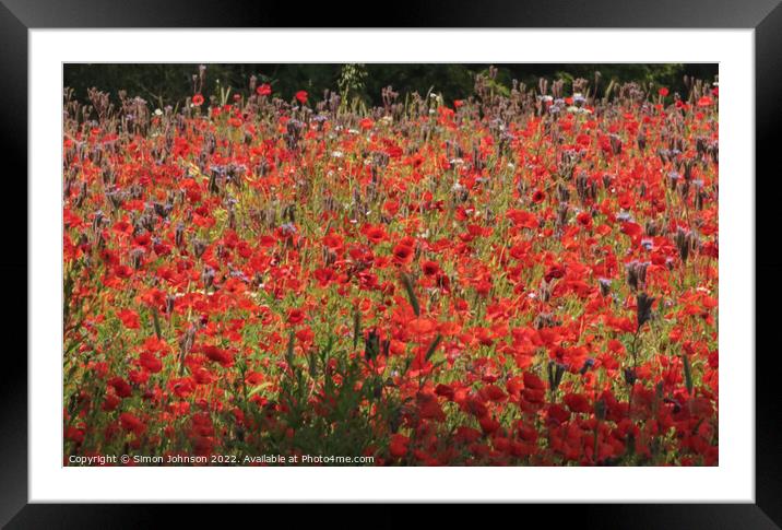 Cotswold Poppies Framed Mounted Print by Simon Johnson