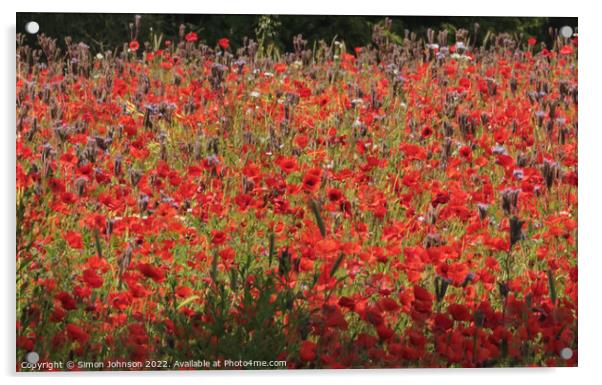 Cotswold Poppies Acrylic by Simon Johnson