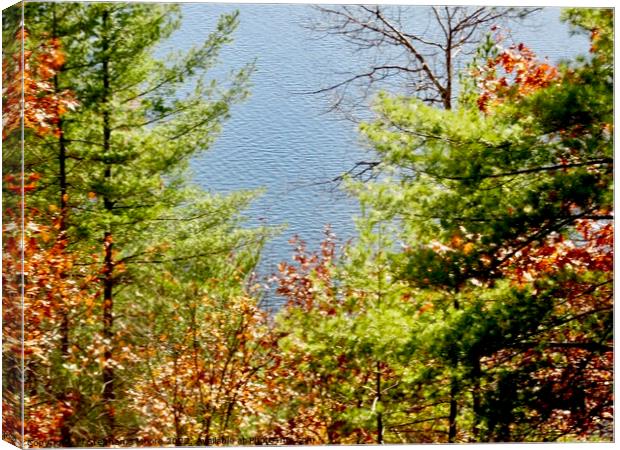 Looking down at the lake Canvas Print by Stephanie Moore