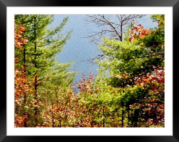 Looking down at the lake Framed Mounted Print by Stephanie Moore