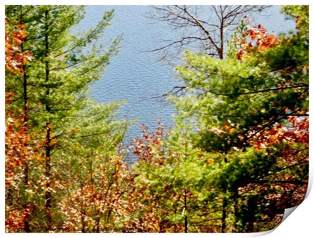 Looking down at the lake Print by Stephanie Moore