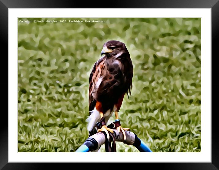 The Common Buzzard (Digital Art Version) Framed Mounted Print by Kevin Maughan