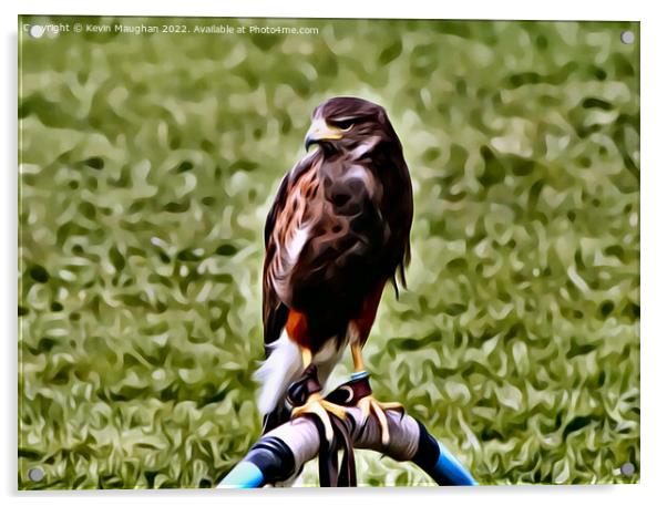 The Common Buzzard (Digital Art Version) Acrylic by Kevin Maughan