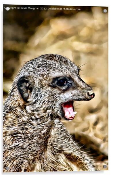 The Meerkat (Digital Art Version) Acrylic by Kevin Maughan