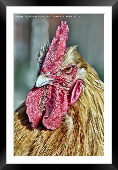 Majestic Rooster Portrait Framed Mounted Print by Kevin Maughan