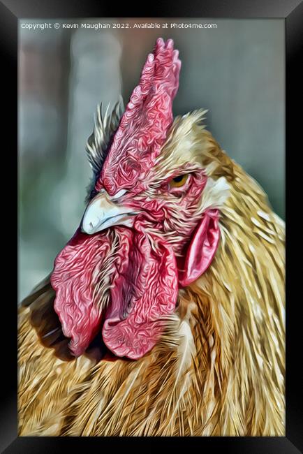 Majestic Rooster Portrait Framed Print by Kevin Maughan
