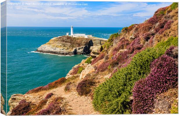 South Stack Anglesey Wales Outdoor Canvas Print by Pearl Bucknall