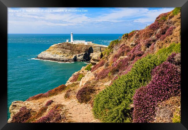 South Stack Anglesey Wales Outdoor Framed Print by Pearl Bucknall