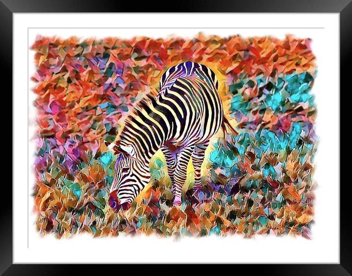 Abstract Zebra (Digital Art Version) Framed Mounted Print by Kevin Maughan
