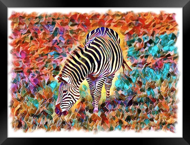 Abstract Zebra (Digital Art Version) Framed Print by Kevin Maughan