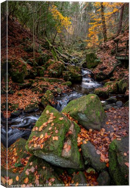 Wyming Brook Nature Reserve Autumn Canvas Print by Craig Yates