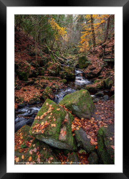 Wyming Brook Nature Reserve Autumn Framed Mounted Print by Craig Yates