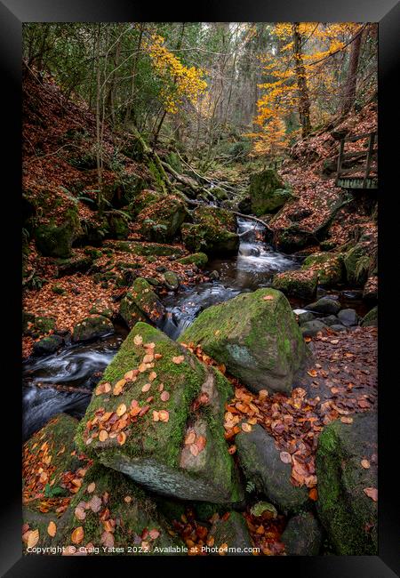 Wyming Brook Nature Reserve Autumn Framed Print by Craig Yates