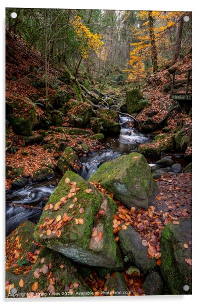 Wyming Brook Nature Reserve Autumn Acrylic by Craig Yates