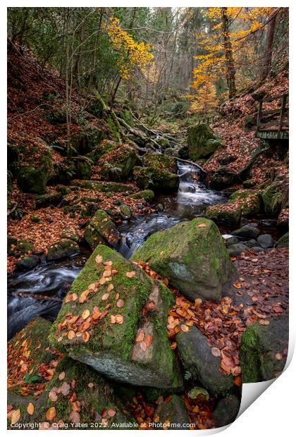 Wyming Brook Nature Reserve Autumn Print by Craig Yates