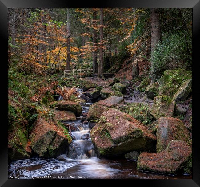 Autumn in Wyming Brook Nature Reserve. Framed Print by Craig Yates