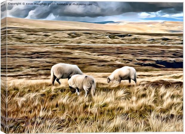 Majestic Sheep Roaming the Pennine Way Canvas Print by Kevin Maughan