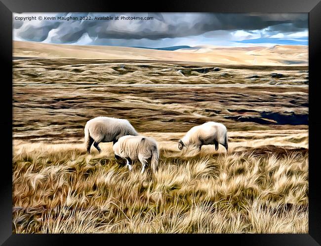 Majestic Sheep Roaming the Pennine Way Framed Print by Kevin Maughan