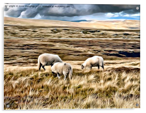 Majestic Sheep Roaming the Pennine Way Acrylic by Kevin Maughan