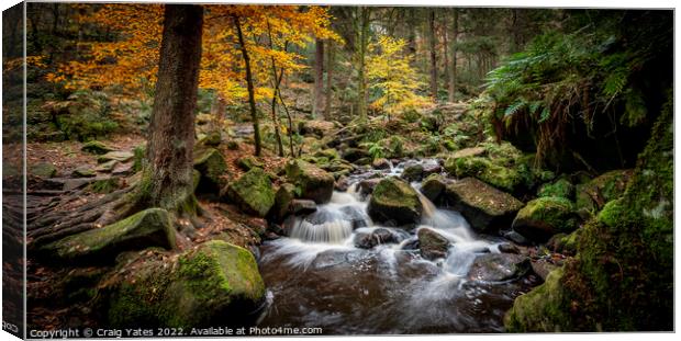 Autumn Wyming Brook Nature Reserve Canvas Print by Craig Yates