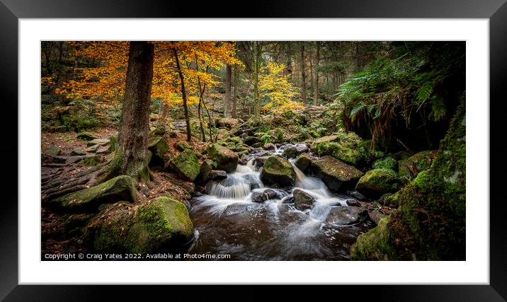 Autumn Wyming Brook Nature Reserve Framed Mounted Print by Craig Yates