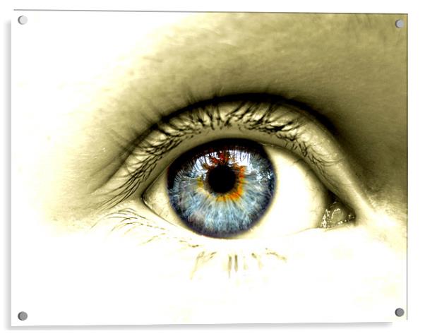 blue eyed girl Acrylic by Heather Newton